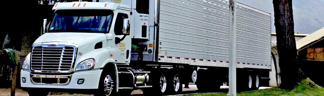 Refrigerated Trucking Services